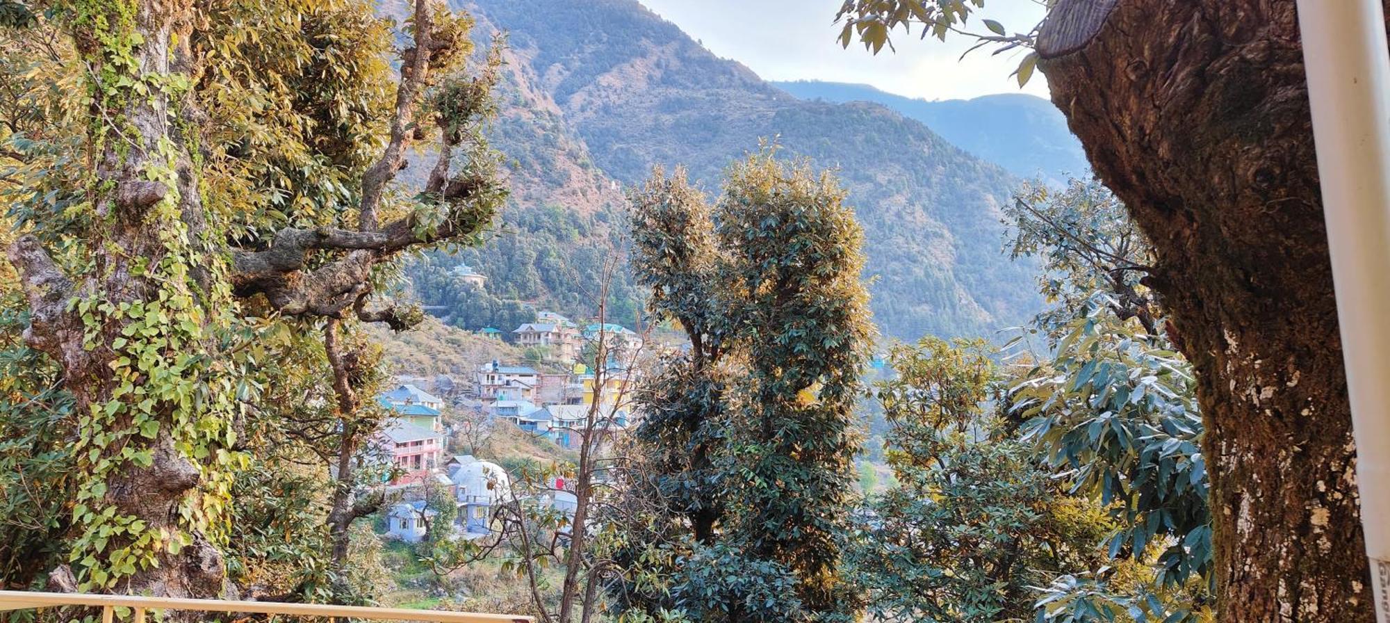 The Unmad - Dharamkot Bed & Breakfast Dharamshala Eksteriør bilde